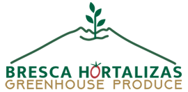 Logotipo de la empresa